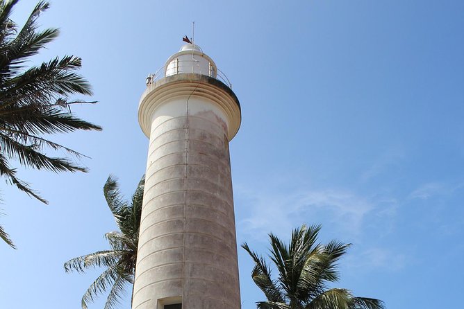 Galle Fort, Turtle, - Private Day Tour From Negombo or Colombo - First: how this private day tour actually works