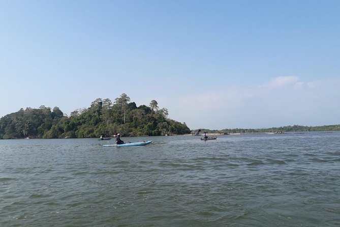 Galle Fort, Turtle, - Private Day Tour From Negombo or Colombo - Kosgoda Turtle Conservation Project: conservation work, not just a quick look