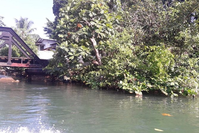 Galle Fort, Turtle, - Private Day Tour From Negombo or Colombo - Madu wetlands and the River Madu area: a slower, greener counterpoint