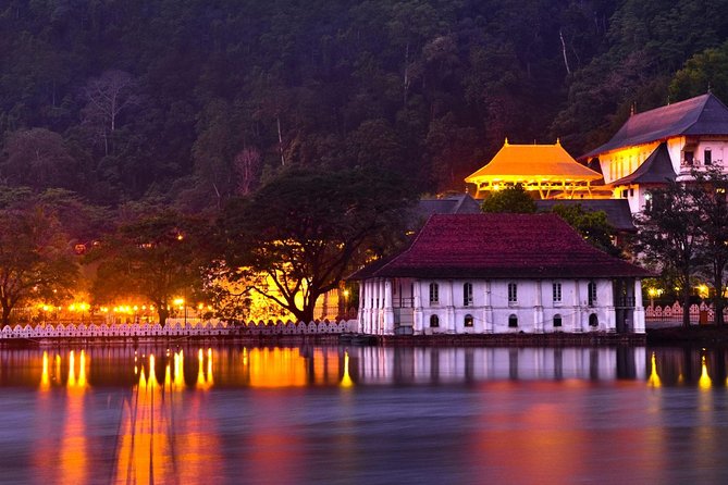 Kandy and Pinnawala Private Day Tour from Colombo/Negombo - Tea Plantation and Tea Factory: What the Included Stop Is Likely Like