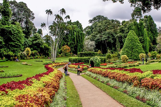 Kandy City Tour from Colombo - Kandy city center and the market: time to wander at your own pace