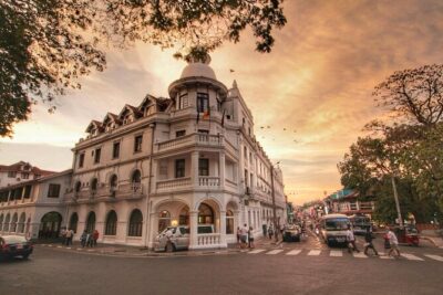 Kandy City Tour from Colombo - Peradeniya Royal Botanical Gardens: orchids, palms, and a wobbly suspension bridge