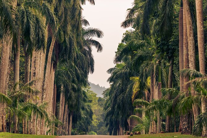 Kandy City Tour from Colombo - Temple of the Sacred Tooth Relic: gold roofs, carvings, and a strong spiritual focus
