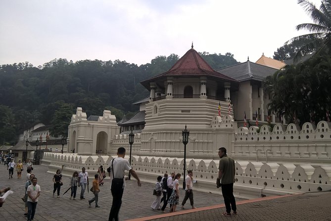 Kandy Day Tour From Colombo - Kadugannawa tea factory: learning without going far