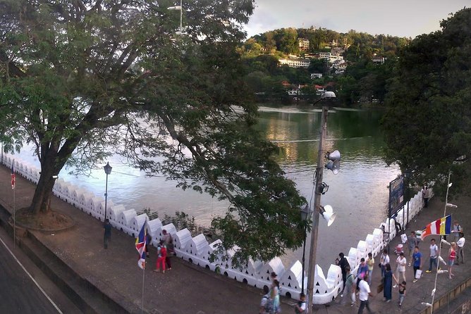 Kandy Full-Day Tour - Price and Logistics: Is $120 Good Value From Colombo?