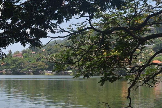 Kandy Full-Day Tour - Guide Quality: What to Expect and How to Get the Most