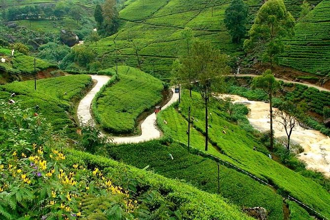 Kandy & Nuwara Eliya | 2 Days Tour - Price and Logistics: What $170 Covers (and What You’ll Still Pay)