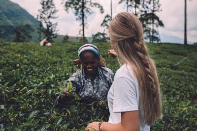 Kandy & Nuwara Eliya | 2 Days Tour - Meeting at 8:00 AM and Getting Moving Without Headaches