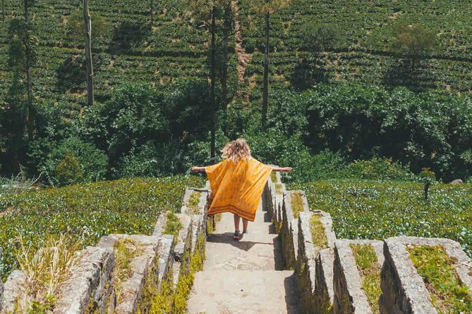 Kandy & Nuwara Eliya | 2 Days Tour - Tea Factory Visit and Ceylon Sampling: What Matters on This Stop