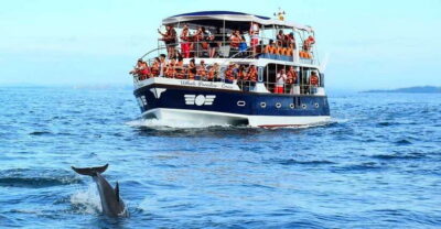 Mirissa Whale Watching, Tour A Once-in-a-Lifetime Experience - What You’ll Actually Look For: Blue Whales, Sperm Whales, and Dolphins