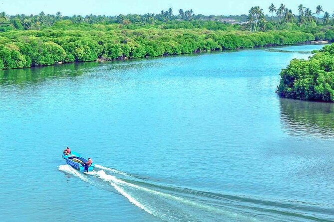 Muthurajawela Bird Watching Tour from Negombo / Colombo - On The Water: Safety Briefing Then Focused Birdwatching
