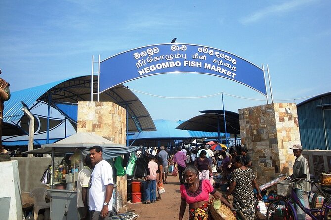 Negombo City Tour by TUK TUK with Rome - Guides, Drivers, and the Peace of Mind Factor