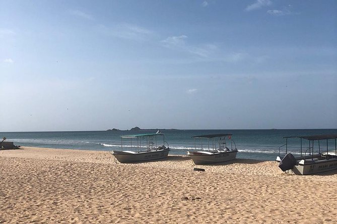 Negombo Day Tour - Key highlights to know before you go