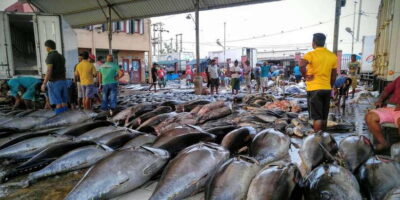Negombo: Fishing Village Highlights Private Tour by Tuk Tuk - Starting at the Negombo Fish Market: Smell the Day, Then Learn It