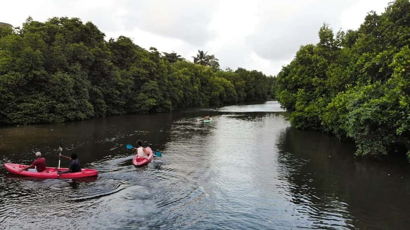 Negombo: Guided Kayaking Tour in the Lagoon - Key Things to Know Before You Go