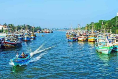 Negombo: Hamilton Canal to Colombo by Boat via Muthurajawela - Negombo Lagoon cruising: mangroves, fishing villages, and birds on patrol