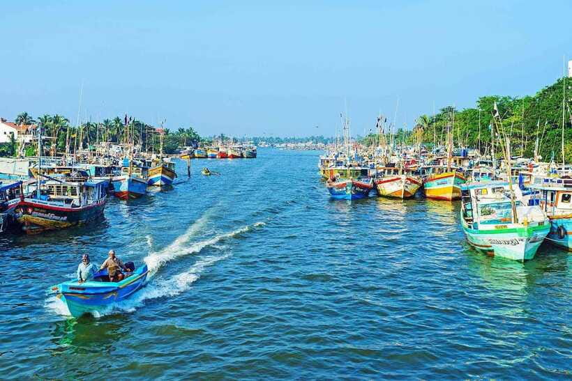 Negombo: Hamilton Canal to Colombo by Boat via Muthurajawela - Bird spotting like a pro: what to watch for from the boat