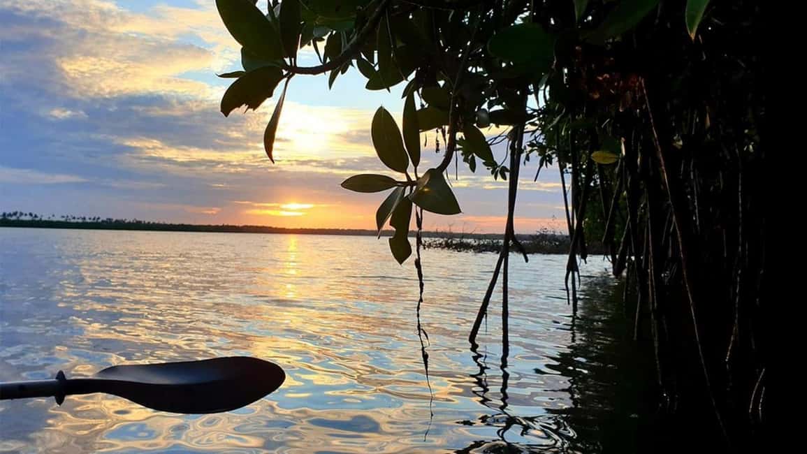 Negombo: Kayaking in the Lagoon - Key Things That Make This Kayak Tour Worth Your Time