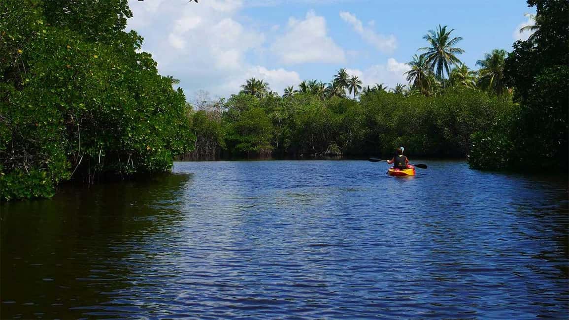 Negombo: Kayaking in the Lagoon - Captain’s Landing to the Lagoon: What the Start Feels Like