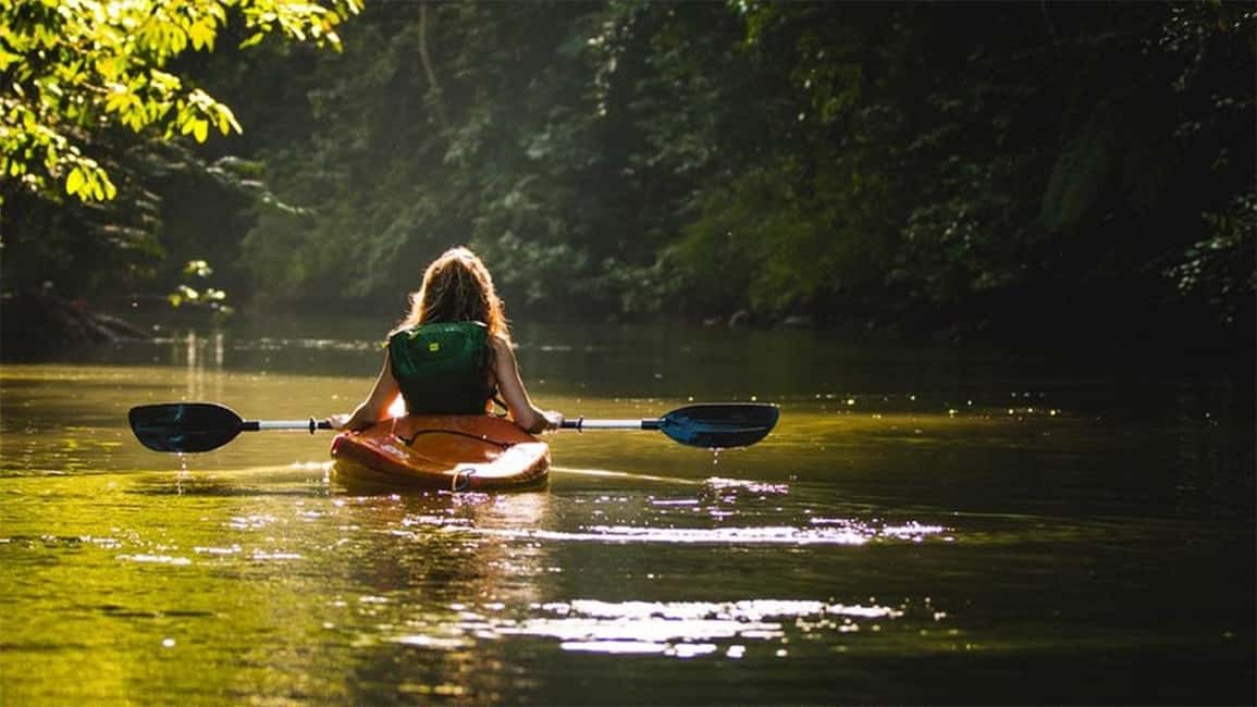 Negombo: Kayaking in the Lagoon - Birdwatching Mode: Herons, Kingfishers, and Cormorants