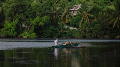Negombo: Kayaking in the Lagoon - Entering Negombo Lagoon: Mangrove Channels by Kayak