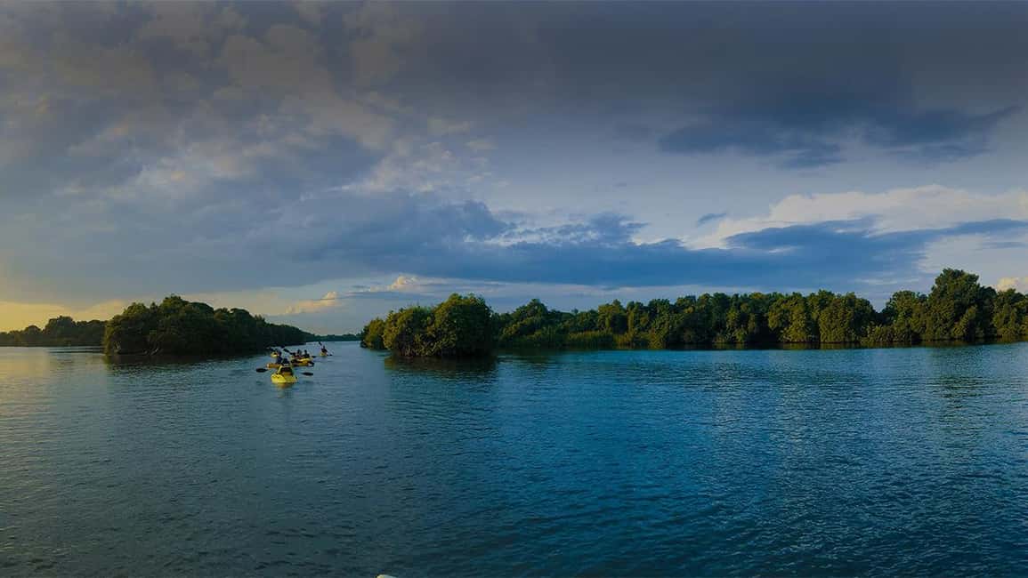 Negombo: Kayaking in the Lagoon - Effort Level: What You’re Really Doing Physically