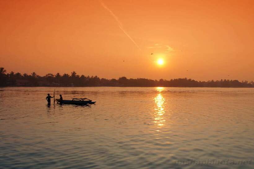 Negombo Lagoon (Mangrove ) Boat Excursion - Key things that make this Negombo Lagoon boat day worth it