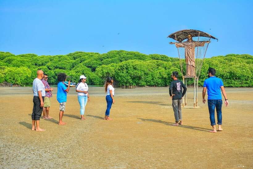 Negombo Lagoon (Mangrove ) Boat Excursion - Dutch Canal and the quick breaks: where the day adds local context