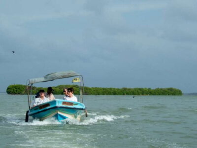 Negombo Lagoon (Mangrove ) Boat Excursion - On the water in the mangroves: fishermen nets, waders, and bird spotting