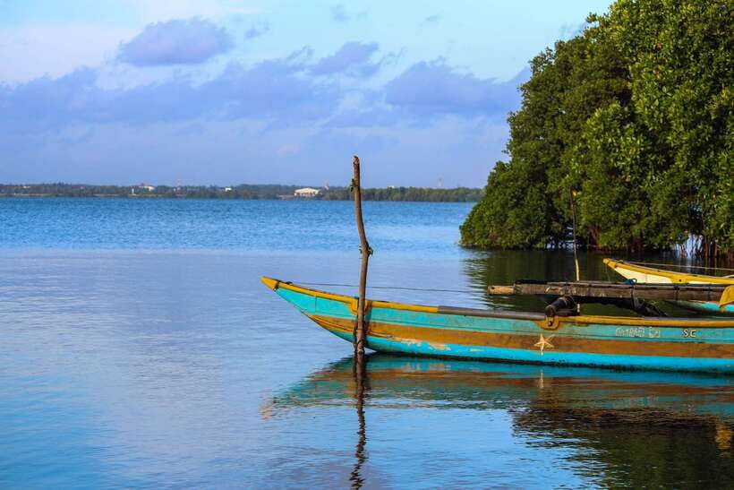 Negombo Lagoon (Mangrove ) Boat Excursion - The Negombo Fish Market stop: a short look, not a full shopping sprint