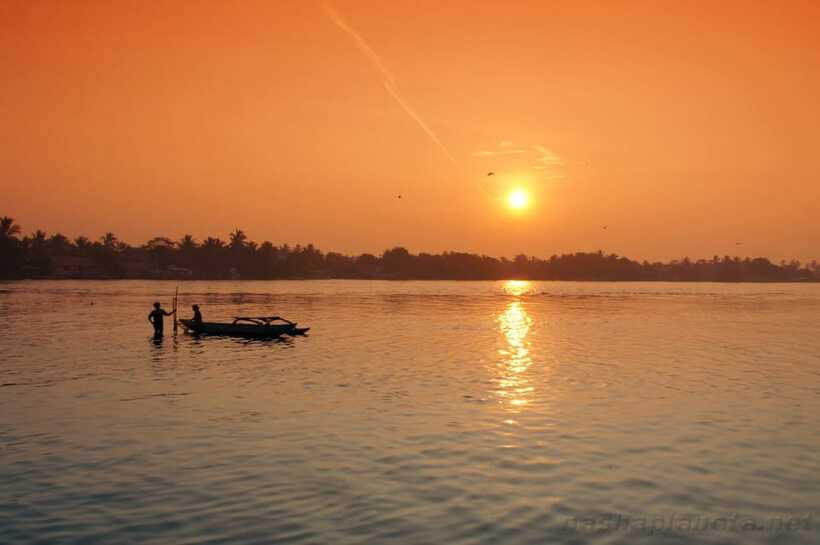 Negombo Lagoon (Mangrove ) Boat Excursion - Lunch and refreshments: keeping the day comfortable in the sun