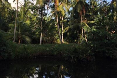 Negombo Lagoon & Muthurjawela Bird Watching Boat Tour - The 2-hour flow: how the ride keeps your attention