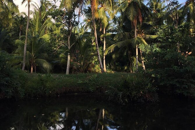 Negombo Lagoon & Muthurjawela Bird Watching Boat Tour - The 2-hour flow: how the ride keeps your attention