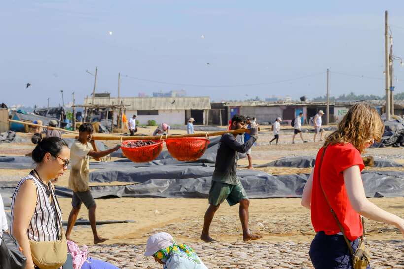Negombo: Private Half-Day Tuk-Tuk Tour with Hotel Transfers - Public fish market: the smell, the work, and the cottage industry