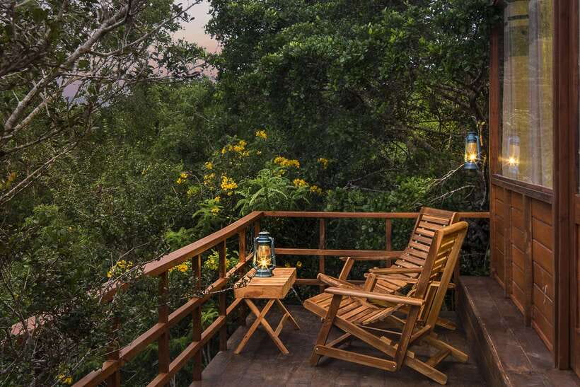 Overnight Treehouse Safari at Yala National Park - Transport and Comfort: Transfers Can Be a Big Deal