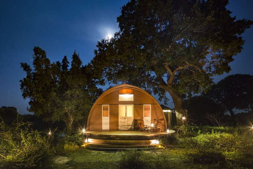 Overnight Treehouse Safari at Yala National Park - Day 1: Colombo to Leopard Nest in Yala