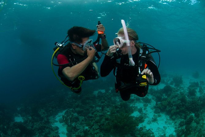 PADI Scuba Diver Course - Key highlights from the experience