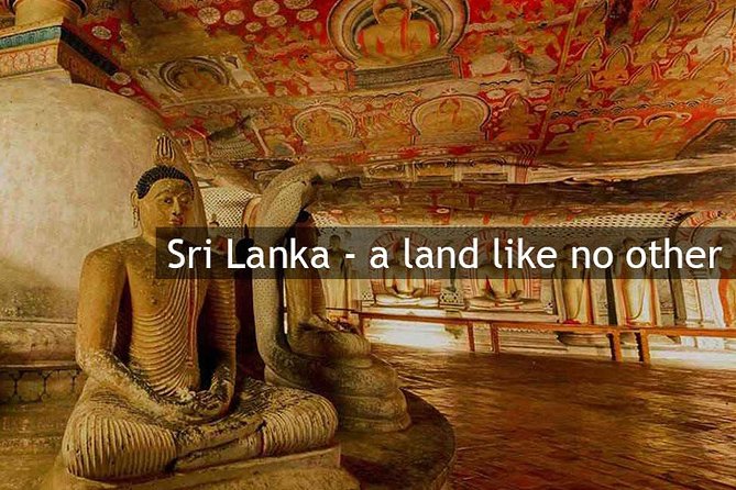 Personal Driver For Your Two Weeks Round Tour In Sri Lanka - Nine Arches Bridge to Ella Rock: tea-country views with real legs
