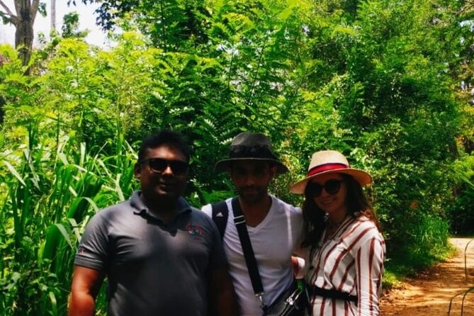 Pinnawala private day trip from colombo or negombo - A practical way to reach Pinnawala without turning your day into a taxi marathon