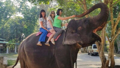Pinnawala,Kandy Day Tour from Colombo/Negombo - Pinnawala Elephant Orphanage: The Bathing Session Is the Main Event