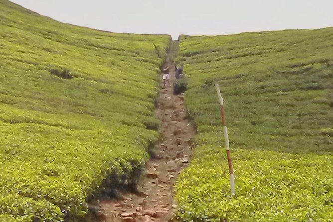 Private Day trip Kandy & pinnawala with your selected attractions - Kandy Viewpoint: Quick Time, Big Payoff Over the City