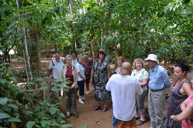 Private Galle Day Tour with Boat Safari & Tea Factory Visit - All Inclusive - Dutch Fort Galle: walking the walls with admission included