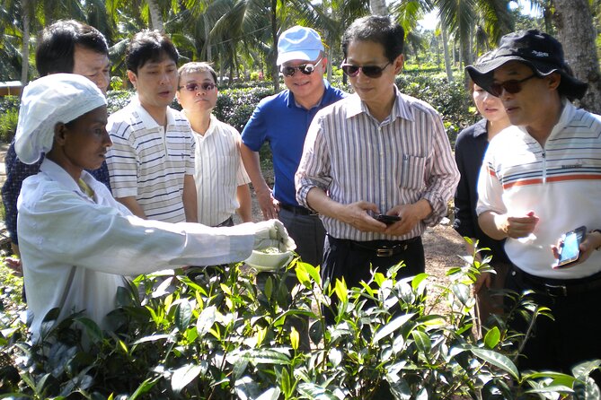 Private Galle Day Tour with Boat Safari & Tea Factory Visit - All Inclusive - Price and value: what $135 covers (and why it can be fair)