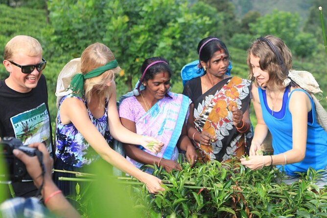 Private Galle Day Tour with Boat Safari & Tea Factory Visit - All Inclusive - Morning pickup and the timing that keeps the day realistic