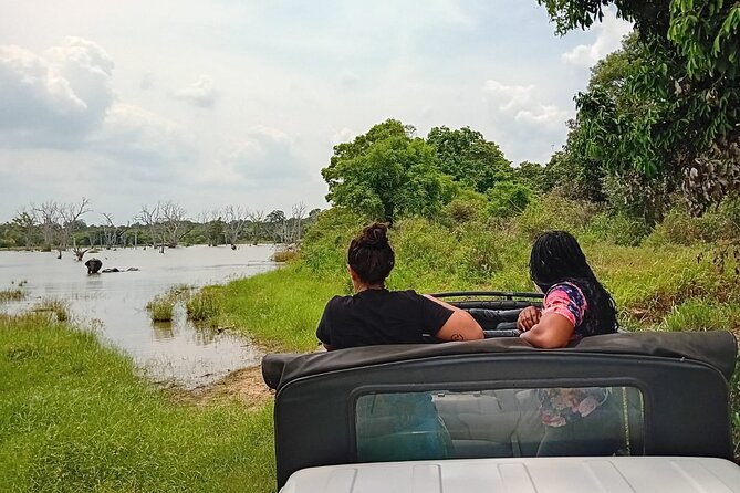 Private Wilpatu National Park Leopard safari from Colombo/Negambo - Who this safari is best for