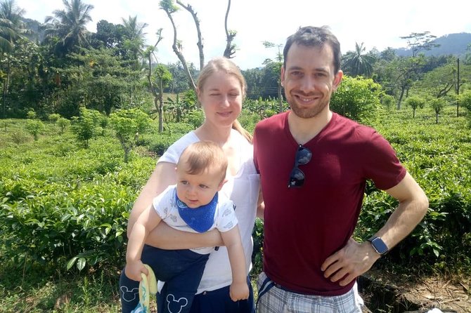 Shore Excursion From Colombo port to Ingiriya Tea Plantation & back for 2 People - Ceylon Tea Plantation: What You’ll See and Actually Do