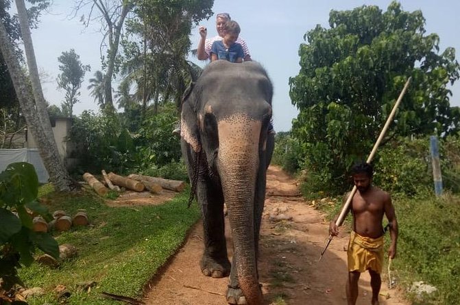 Shore Excursion From Colombo port to Ingiriya Tea Plantation & back for 2 People - Colombo Highlights on the Way Back: Making Transit Useful