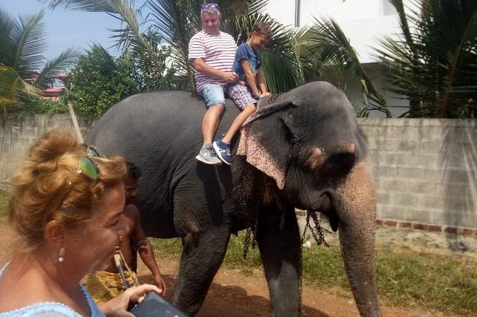 Shore Excursion From Colombo port to Ingiriya Tea Plantation & back for 2 People - Who This Tour Suits (and Who Should Rethink It)