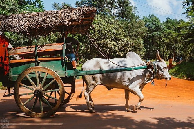 Sigiriya and Dambulla Private Full-Day Guided Tour - Price and value: what $120 covers and what to budget