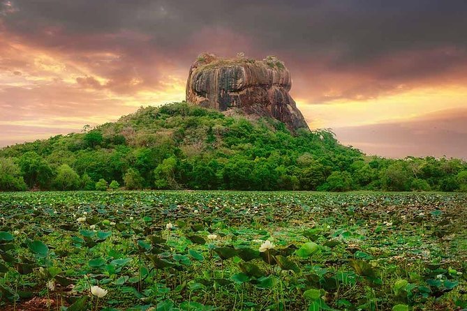 Sigiriya and Dambulla Tour (All Inclusive) - Lunch and countryside pacing: a real break, not just a stop